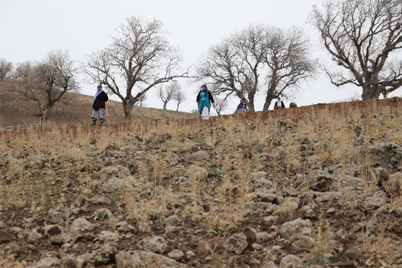 Mezarlarını yerinde bulamayan köylülerin korkunç iddiası - Resim: 4