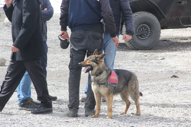 Silah seslerini duyunca koştular operasyon başlatıldı - Resim: 3