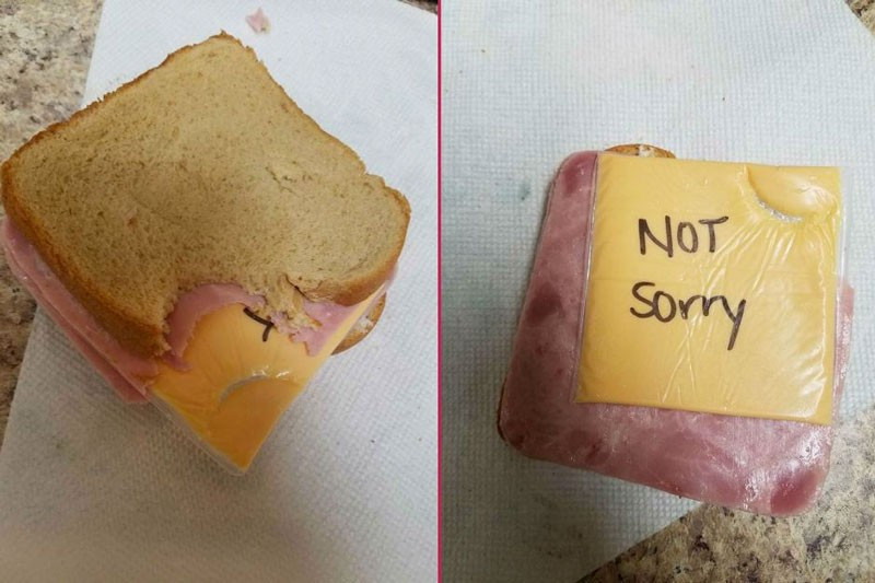 Banyoya girdiğinde bu manzarayla karşılaştı çok fena... - Resim: 1