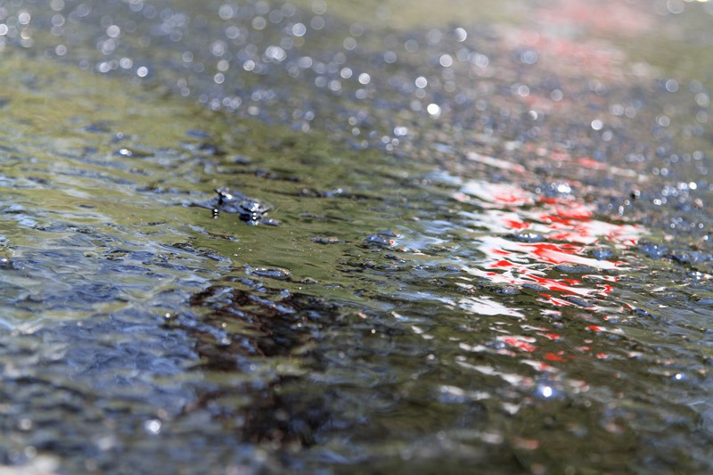 Fethiye'de eriyen asfalt sürücülere zor onlar yaşattı - Resim: 3