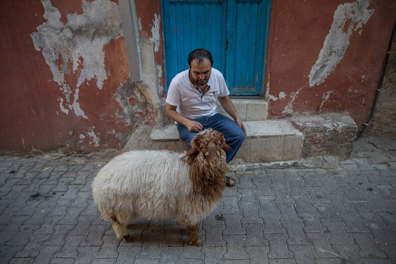 En yakın arkadaşı kuzu beraber kahvehaneye bile gidiyorlar - Resim: 2