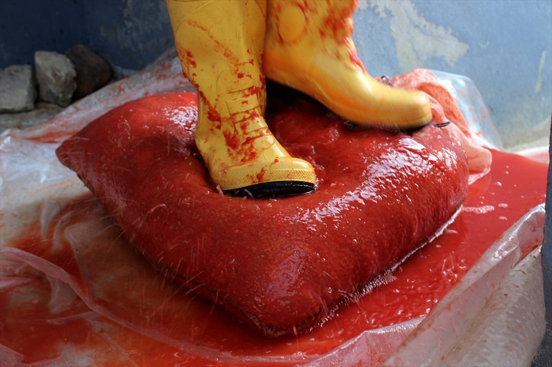 Her yıl aynı dönemde bir araya gelip bu işi yapıyorlar - Resim: 4