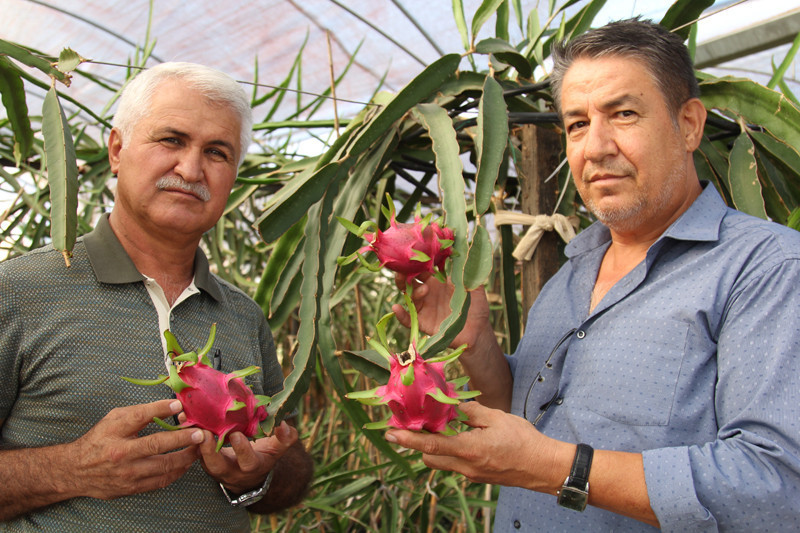 Denemek için diktiler şimdi siparişlere yetişemiyorlar - Resim: 1