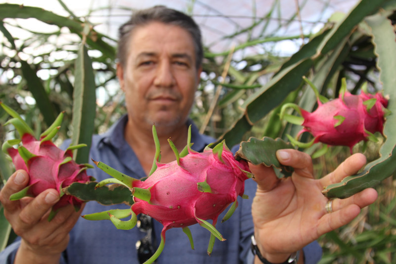 Denemek için diktiler şimdi siparişlere yetişemiyorlar - Resim: 3