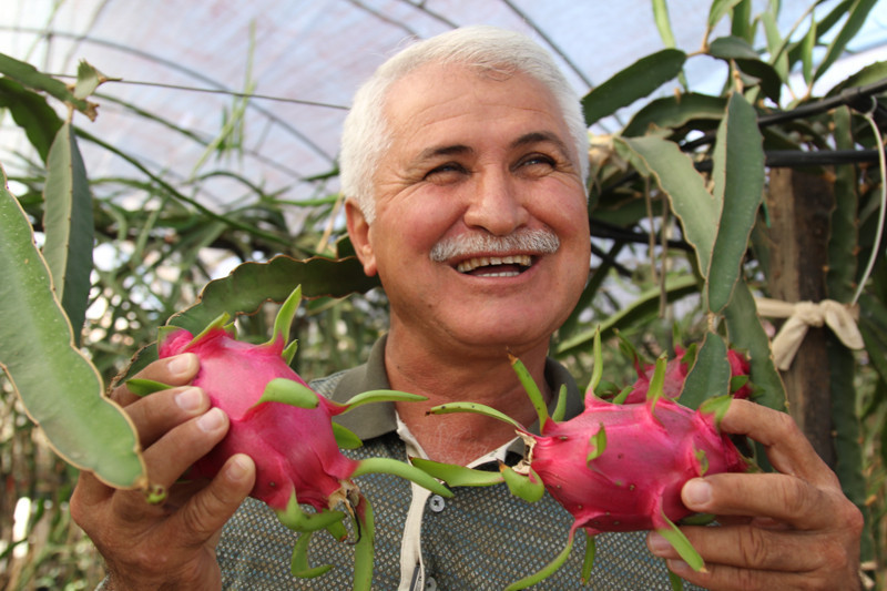 Denemek için diktiler şimdi siparişlere yetişemiyorlar - Resim: 4