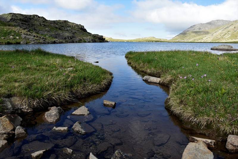 Gümüşhane'de saklı cennet 1 metrekarede 6 farklı çiçek - Resim: 2