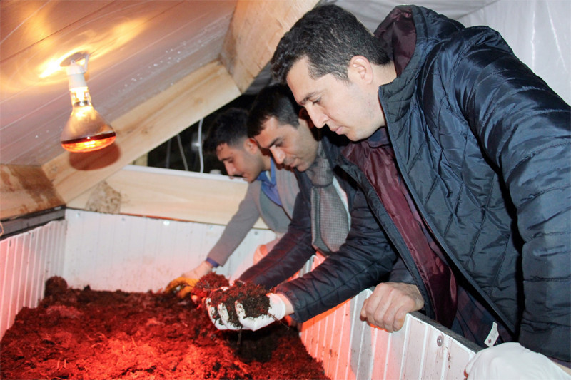 3 arkadaş internette görüp işe girdi şimdi ayda 15 bin lira kazanıyorlar - Resim: 2