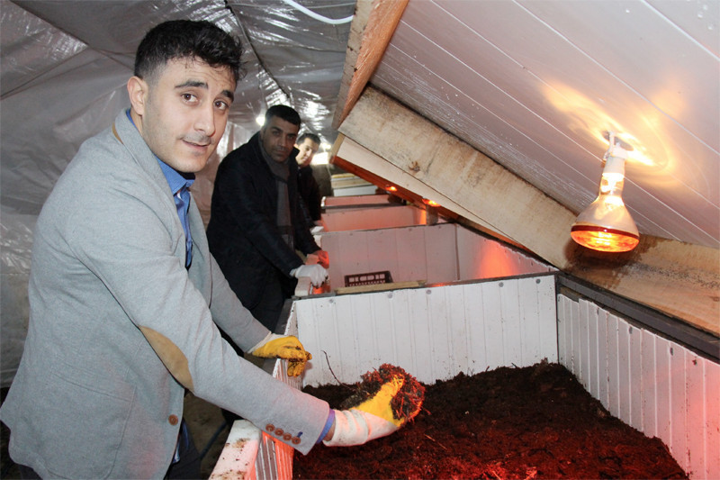 3 arkadaş internette görüp işe girdi şimdi ayda 15 bin lira kazanıyorlar - Resim: 3