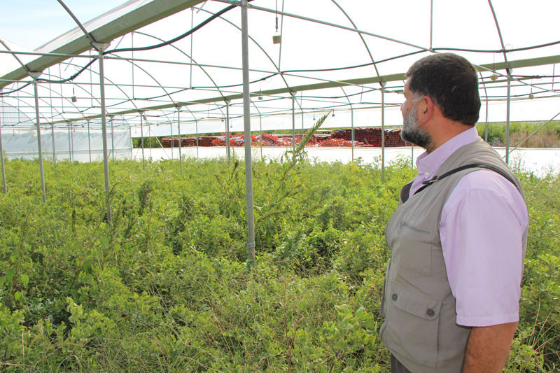 Rüyasındaki sese kulak verdi hayatı değişti Hünnap meyvesi nedir - Resim: 3