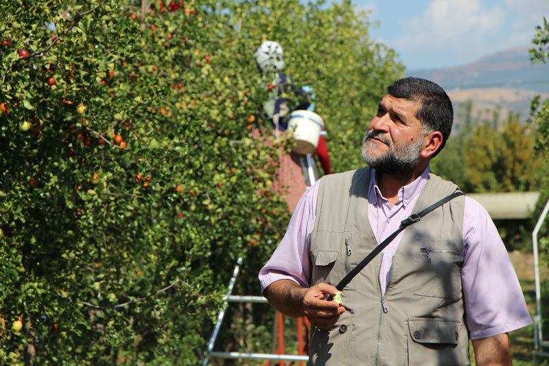 Rüyasındaki sese kulak verdi hayatı değişti Hünnap meyvesi nedir - Resim: 4