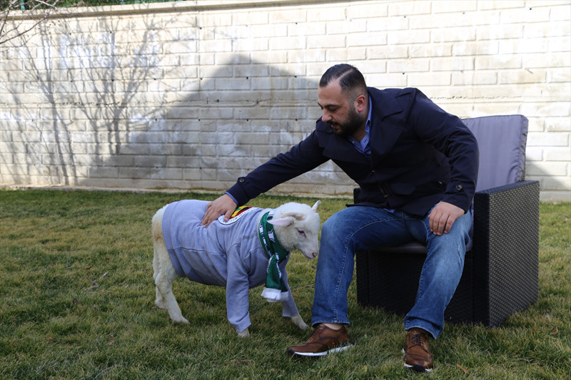 'Kuzu Alex' sosyal medyanın yeni fenomeni - Resim: 1