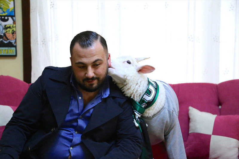 'Kuzu Alex' sosyal medyanın yeni fenomeni - Resim: 4