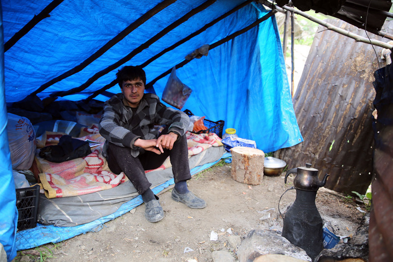 Rize'ye ithal çoban! Aylık kaç lira alıyor? - Resim: 1