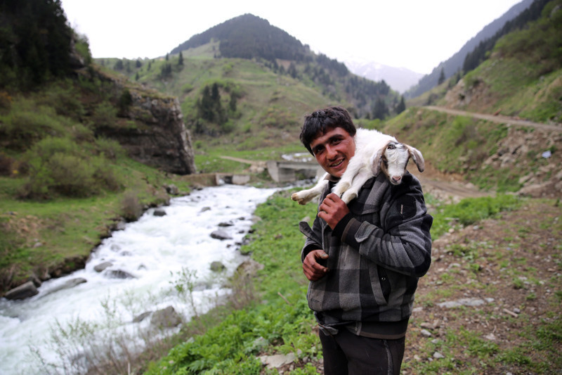 Rize'ye ithal çoban! Aylık kaç lira alıyor? - Resim: 2