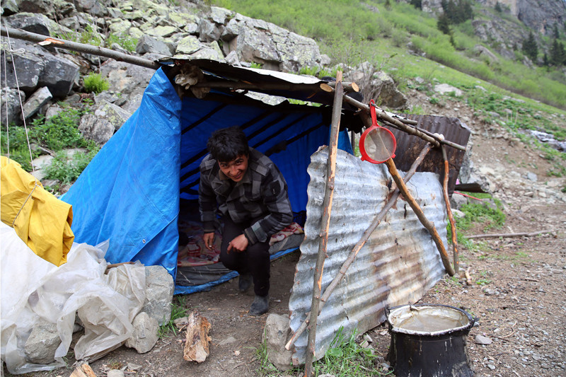 Rize'ye ithal çoban! Aylık kaç lira alıyor? - Resim: 3