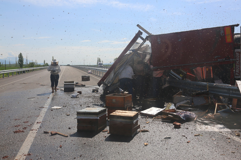 Bayburt'ta arı kovanı yüklü tır devrilince - Resim: 1