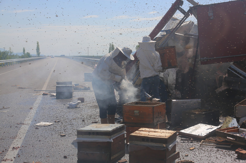 Bayburt'ta arı kovanı yüklü tır devrilince - Resim: 2