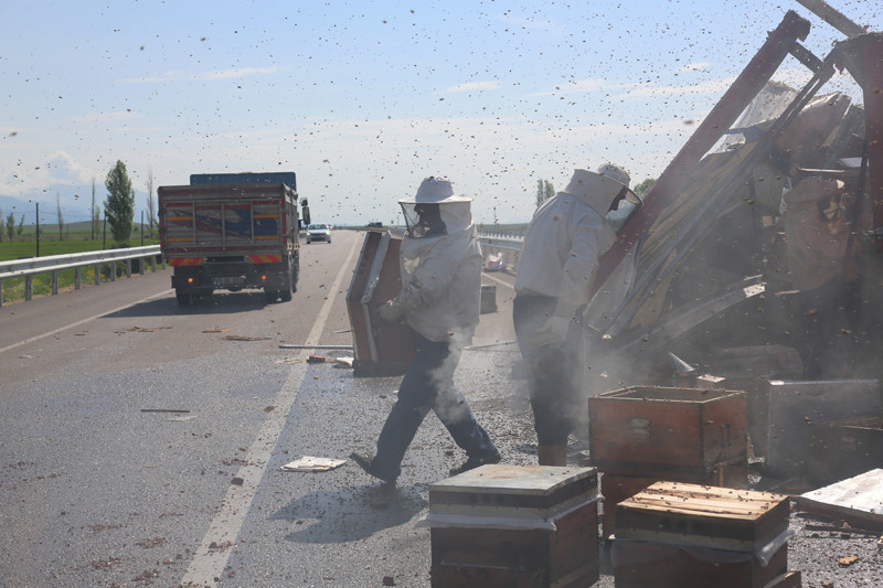 Bayburt'ta arı kovanı yüklü tır devrilince - Resim: 4