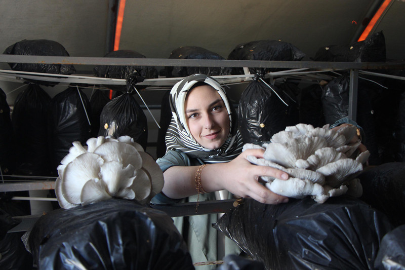 Üniversiteyi bitirip iş bulamayınca kendi işinin sahibi oldu - Resim: 1