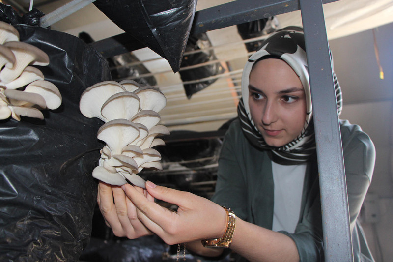 Üniversiteyi bitirip iş bulamayınca kendi işinin sahibi oldu - Resim: 2