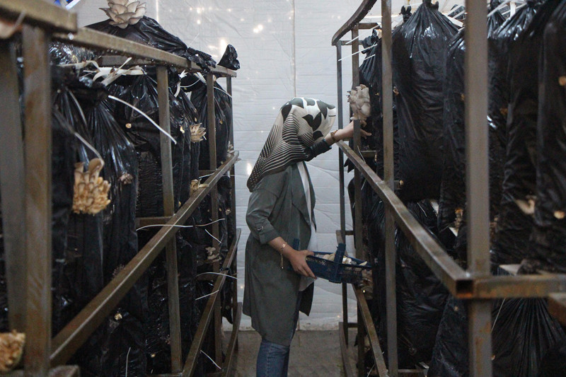 Üniversiteyi bitirip iş bulamayınca kendi işinin sahibi oldu - Resim: 4