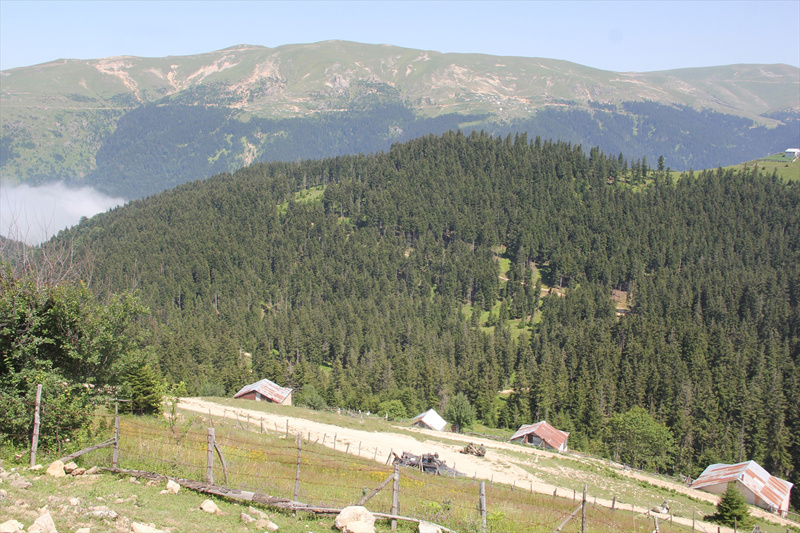 PKK'ya Karadeniz'de büyük darbe - Resim: 1