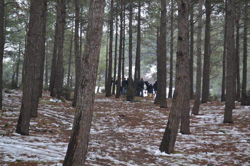 Kestane toplamak için ormana gitti poşeti açınca şoke oldu - Resim: 4