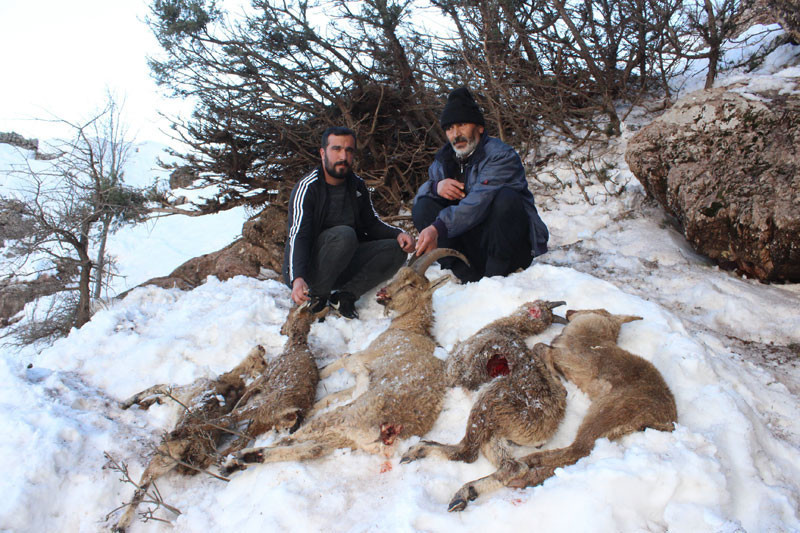 Adıyaman'da korkunç manzara! Açlık ve soğuktan öldüler - Resim: 2