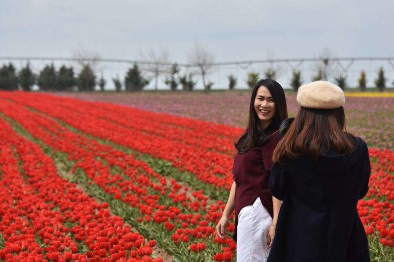 Konya Ovası'nda turistler fotoğraf için sıraya giriyor - Resim: 1