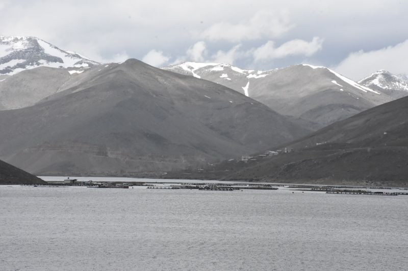Adıyaman'da yüzen adalar görenleri şaşkına çeviriyor - Resim: 1