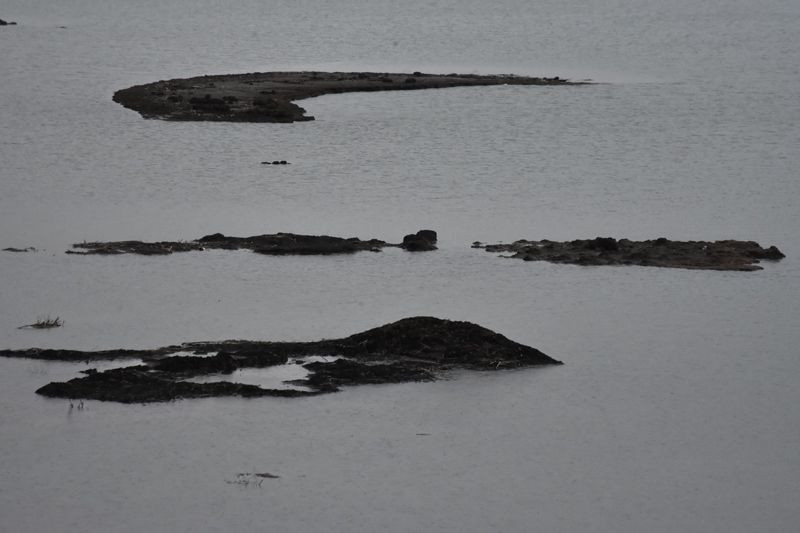 Adıyaman'da yüzen adalar görenleri şaşkına çeviriyor - Resim: 3