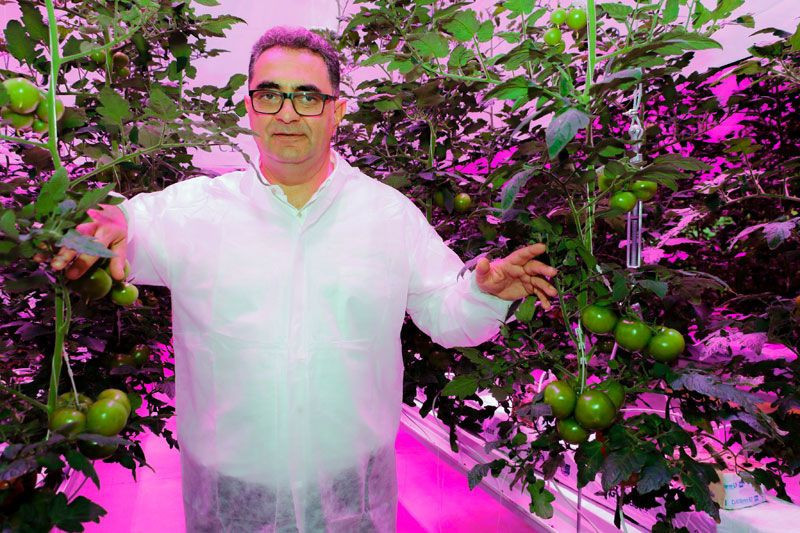 Türk mühendisler buldu Rus Başbakanı Medvedev'in kuzeni bile ziyaret etti - Resim: 1