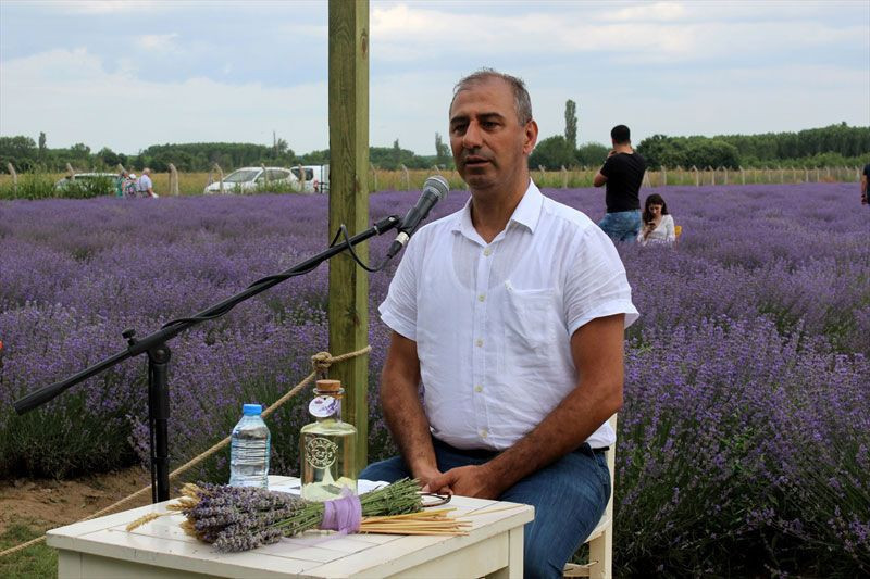 Lavanta yağı baş ağrısı uykusuzluk depresyon ve yaraya iyi geliyor - Resim: 1