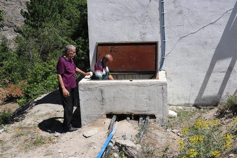 Gümüşhane'de 145 kişi hastanelik olmuştu! Sebebi belli oldu - Resim: 2