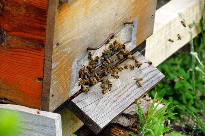 İstanbul'u terketti bileziğini sattı tezgahını kurdu şimdi paraya para demiyor - Resim: 3