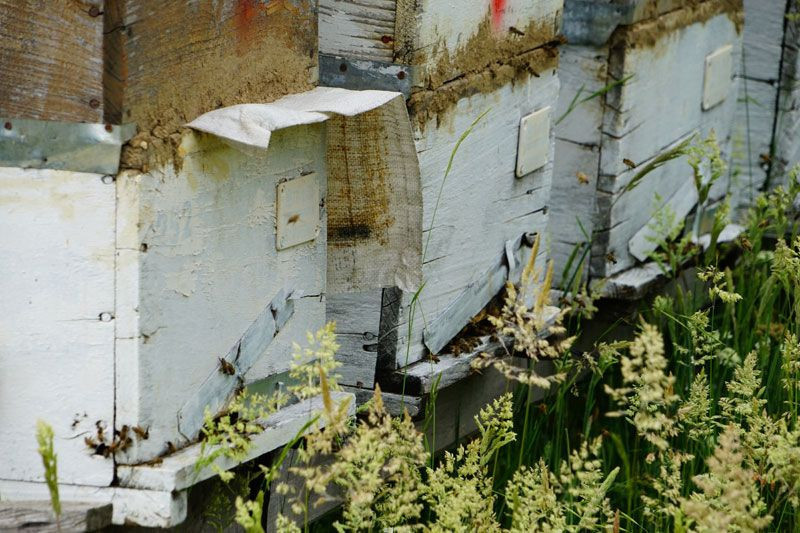 İstanbul'u terketti bileziğini sattı tezgahını kurdu şimdi paraya para demiyor - Resim: 4