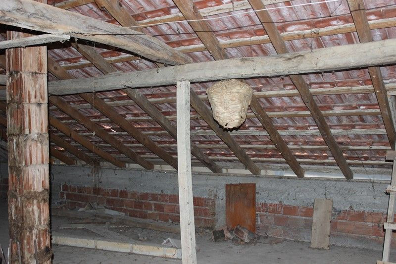 Evin çatısında fark etti! Sadece 1 ayda böyle oldu - Resim: 4