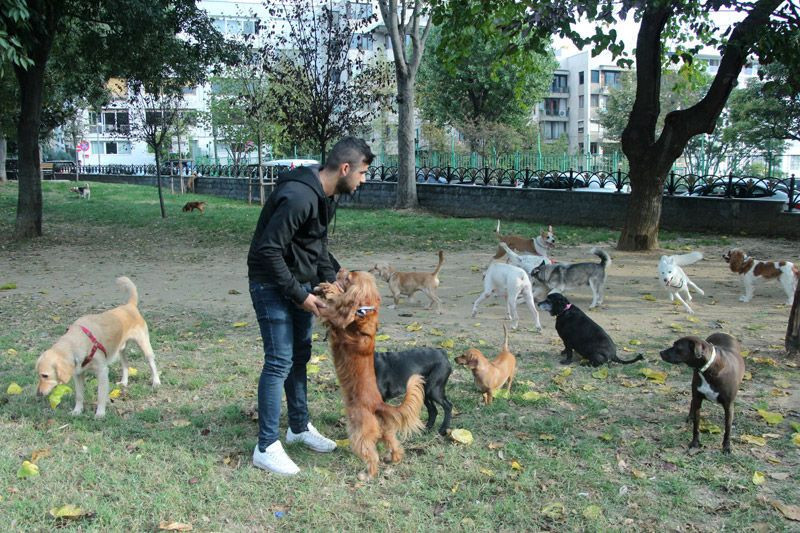 Ayda 5-6 bin lira kazanıyorlar 100'e yakın müşterisi olan bile var - Resim: 4