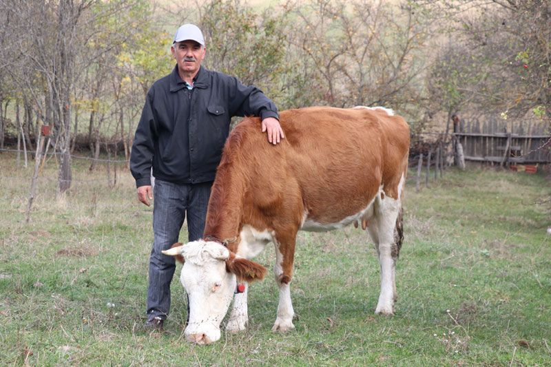 Bilgisayar mühendisi damat geliştirdi kayınpeder rahatladı - Resim: 2