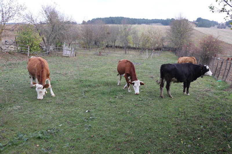 Bilgisayar mühendisi damat geliştirdi kayınpeder rahatladı - Resim: 4