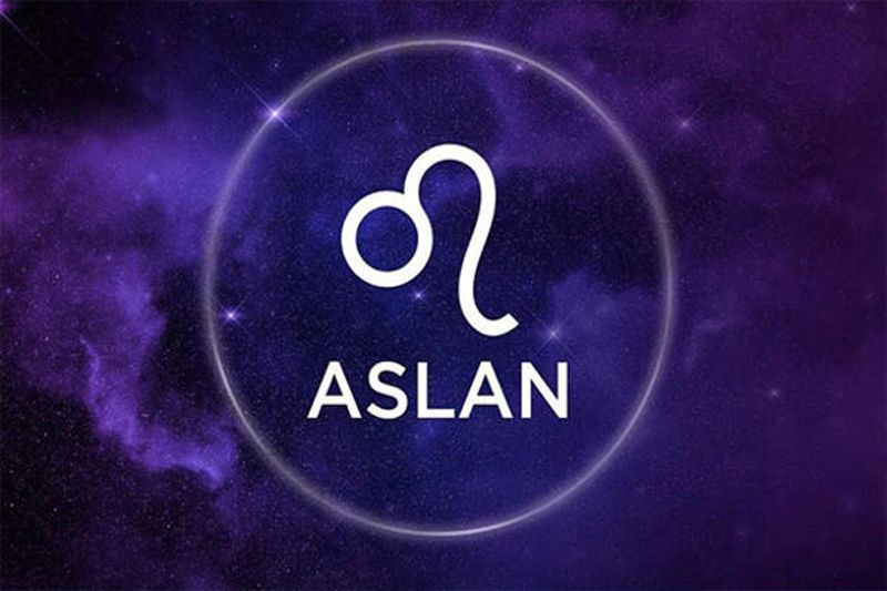 Aslan 2020 burç yorumları yıllık aşk para kariyer falı - Resim: 1