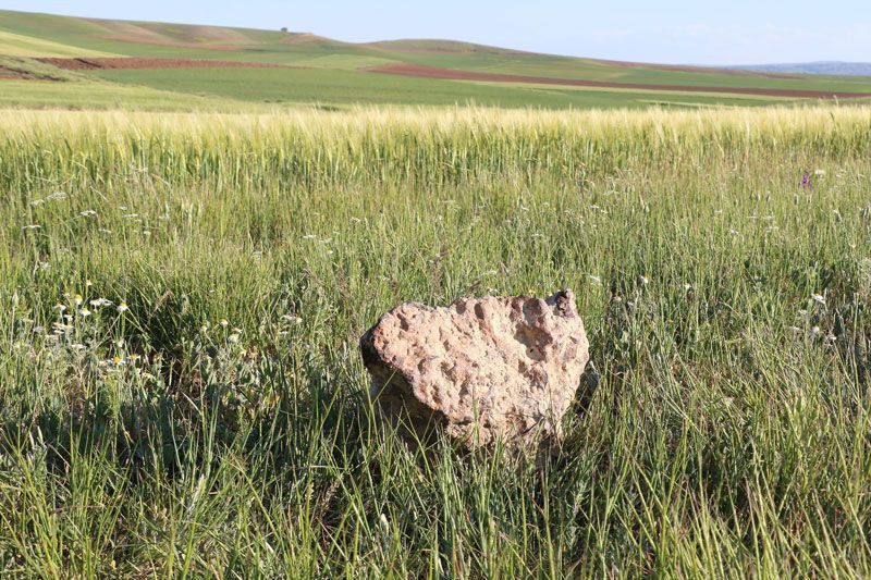 Çorum'da çiftçi tarlasında göktaşı buldu ABD'de onaylattı 68 bin dolar verdiler satmadı - Resim: 2