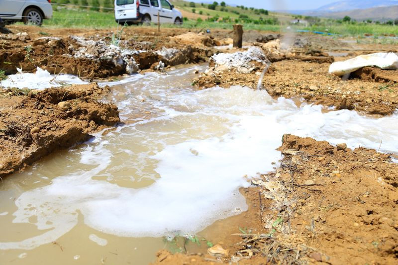 Elazığ'da doğal hazine! Köylü bahçeye kazma vurunca çıktı - Resim: 4
