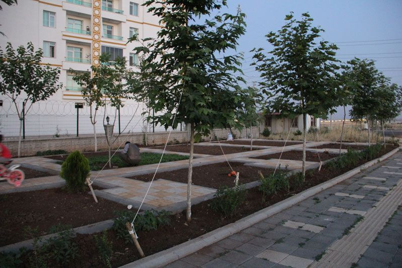 Diyarbakır'da bir garip hırsızlık sabah dükkanı açmaya geldiğinde neye uğradığını şaşırdı - Resim: 3