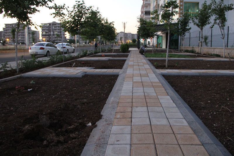 Diyarbakır'da bir garip hırsızlık sabah dükkanı açmaya geldiğinde neye uğradığını şaşırdı - Resim: 4