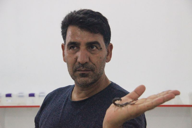 Şanlıurfa'da dünyanın en pahalı akrebini üretiyor! Fiyatı dudak uçuklattı - Resim: 4