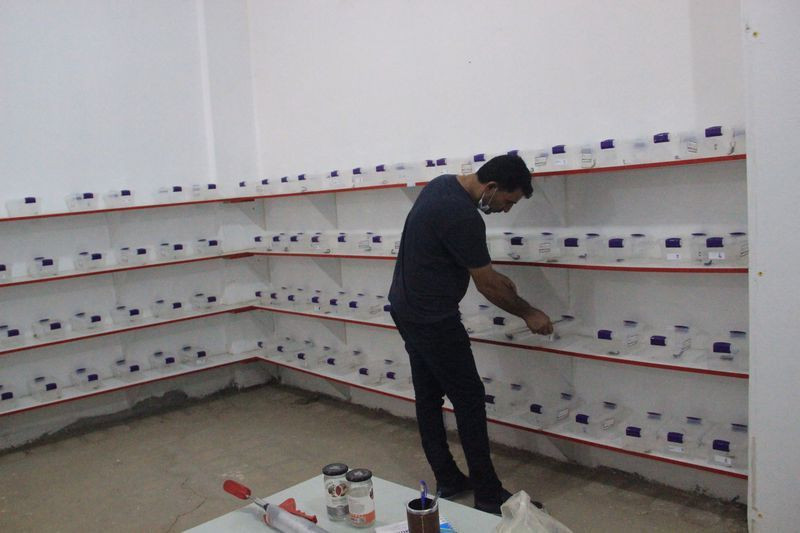 Şanlıurfa'da dünyanın en pahalı akrebini üretiyor! Fiyatı dudak uçuklattı - Resim: 3