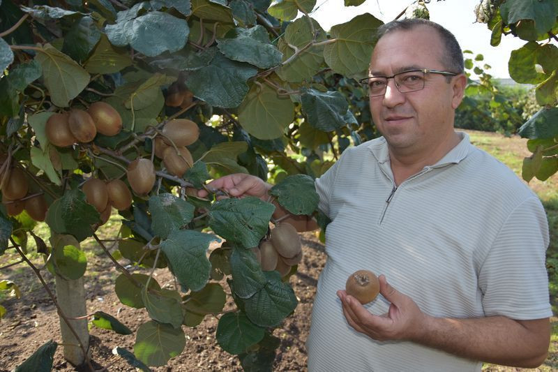Balıkesir'de bankacılığı bırakıp bu işe başladı! Türkiye'nin dört bir yanına gönderiyor - Resim: 1