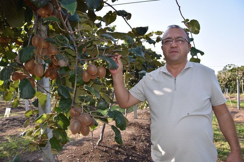 Balıkesir'de bankacılığı bırakıp bu işe başladı! Türkiye'nin dört bir yanına gönderiyor - Resim: 3