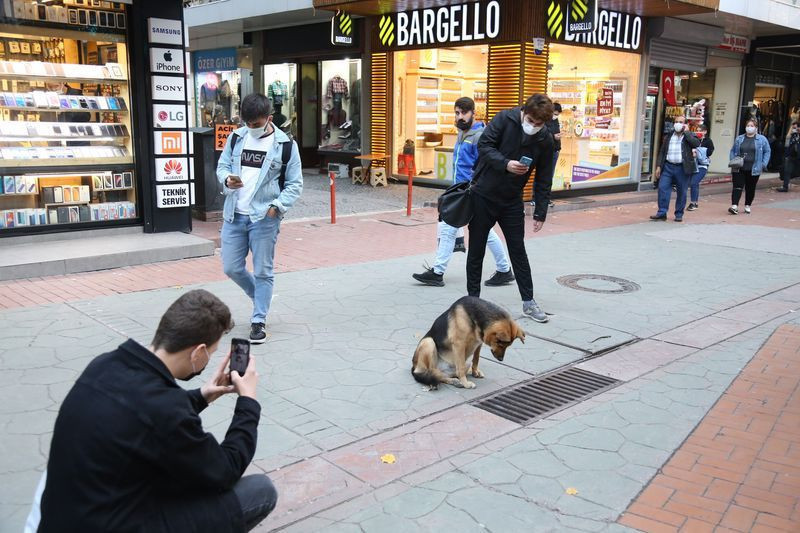 Kocaeli'de her gün mazgalı izleyen köpeğin sırrı ortaya çıktı! - Resim: 1